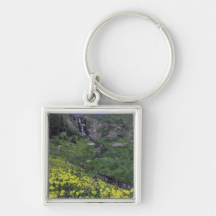 Waterfall and wildflowers in alpine meadow, key ring