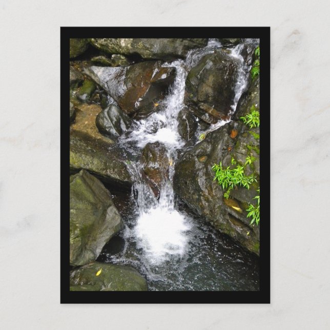 Waterfall at El Yunque National Rainforest Postcard (Front)