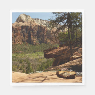 Waterfall at Emerald Pools in Zion National Park Napkin