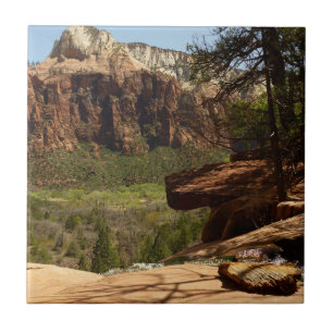 Waterfall at Emerald Pools in Zion National Park Tile