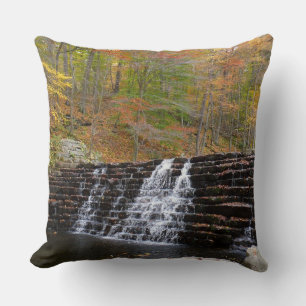 Waterfall at Laurel Hill State Park I Cushion