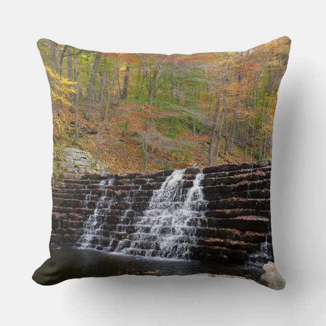 Waterfall at Laurel Hill State Park I Cushion (Front)