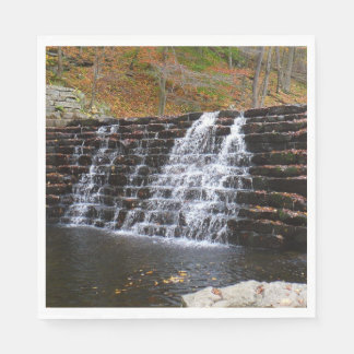 Waterfall at Laurel Hill State Park I Napkin