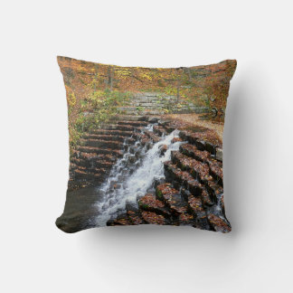 Waterfall at Laurel Hill State Park II Cushion