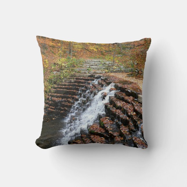 Waterfall at Laurel Hill State Park II Cushion (Front)