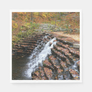 Waterfall at Laurel Hill State Park II Napkin