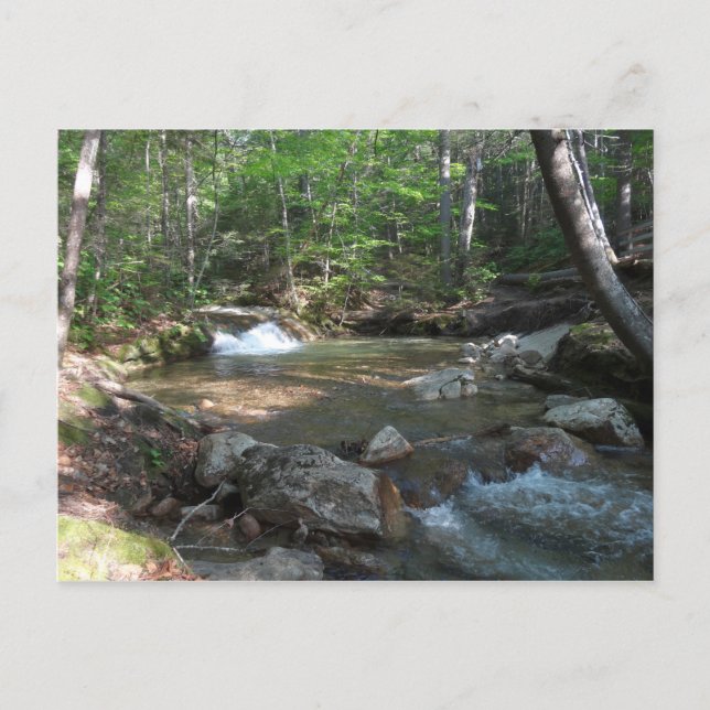 Waterfall at Pemigewasset River I Postcard (Front)