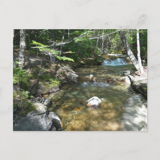 Waterfall at Pemigewasset River III Postcard (Front)
