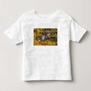 Waterfall below Mt Cannon in Glacier National Toddler T-Shirt