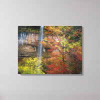 Waterfall, bigtooth maple Acer