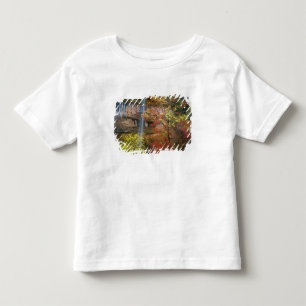 Waterfall, bigtooth maple Acer Toddler T-Shirt