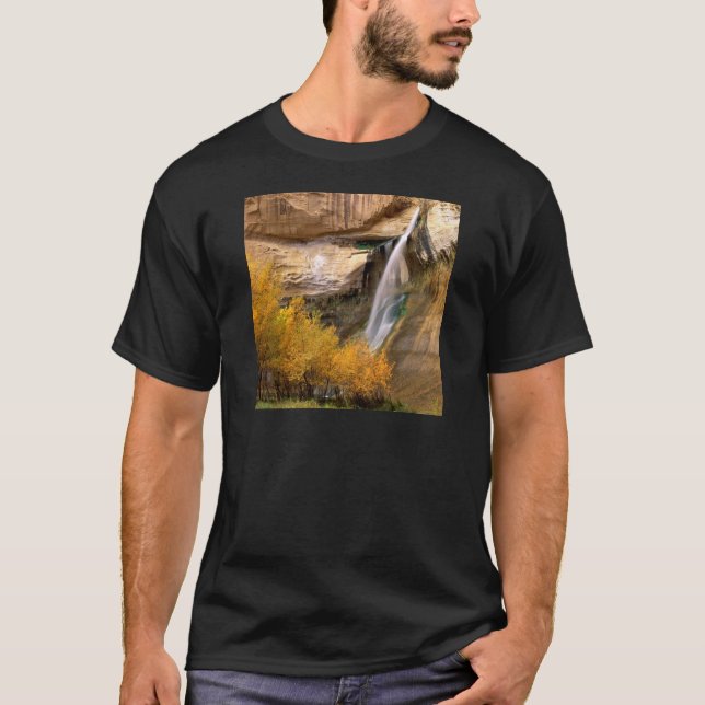 Waterfall Calf Grand Escalante Monument Utah T-Shirt (Front)