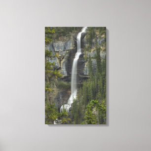 Waterfall Canvas Print