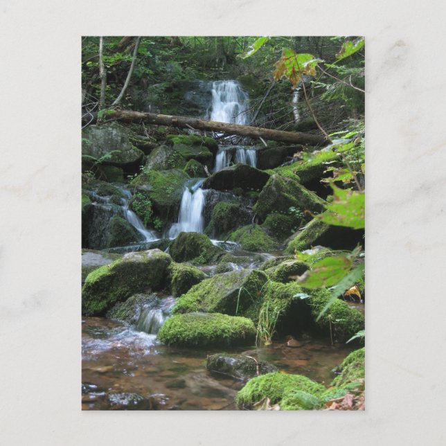 Waterfall cascade in lush forest landscape nature postcard (Front)
