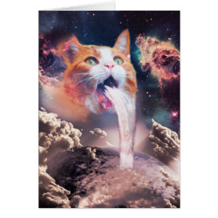 Waterfall cat