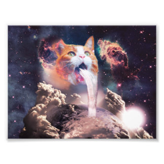 Waterfall cat photo print