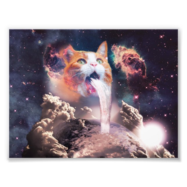 Waterfall cat photo print (Front)