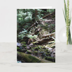 Waterfall Creek, Olympic Mountains, Washington Card