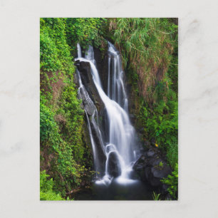 Waterfall, Hamakua coast, Hawaii Postcard