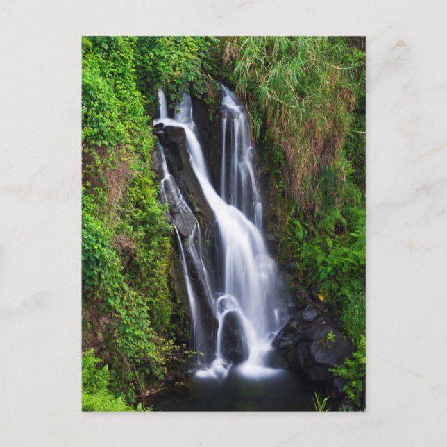 Waterfall, Hamakua coast, Hawaii Postcard (Front)