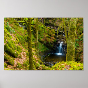 Waterfall in Argyll, Scotland Poster