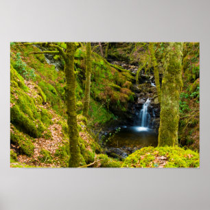Waterfall in Argyll, Scotland Poster