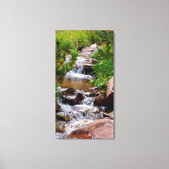 Waterfall in Colorado Canvas Print (Front)