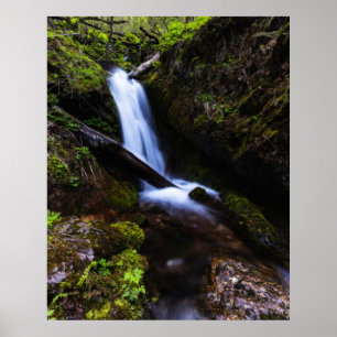 Waterfall in enchanted forest poster