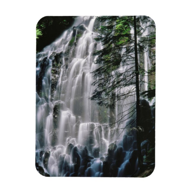 Waterfall in forest, Oregon Magnet (Vertical)