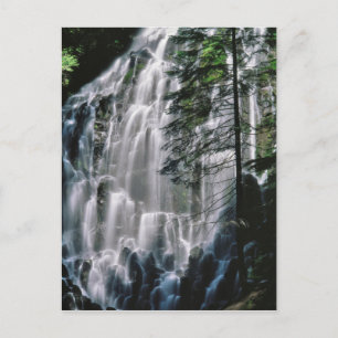 Waterfall in forest, Oregon Postcard