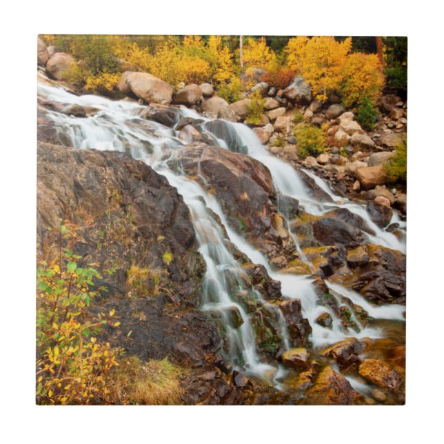 Waterfall In Grand Teton National Park Tile (Front)