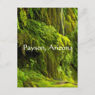 Waterfall in green in Payson,Arizona, Postcard