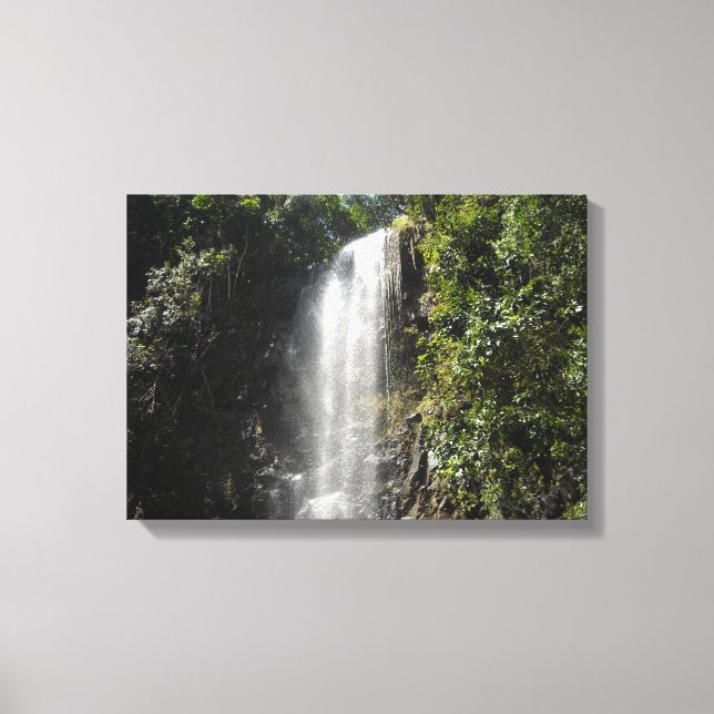 Waterfall in Kauai, Hawaii Canvas Print (Front)