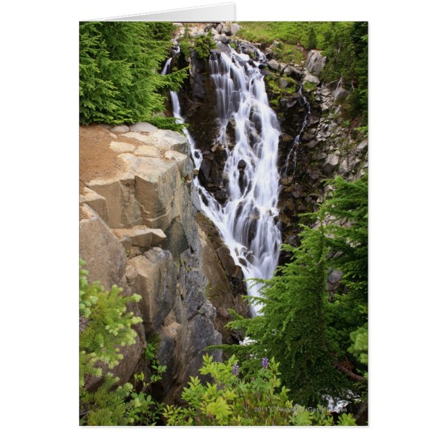 Waterfall in Mount Rainier National Park (Front)