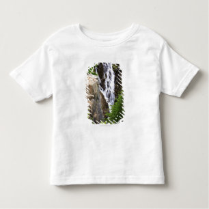 Waterfall in Mount Rainier National Park Toddler T-Shirt