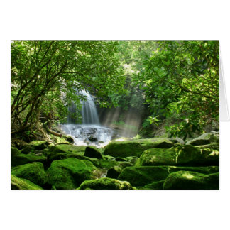 Waterfall in Rain Forest