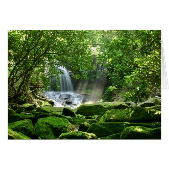 Waterfall in Rain Forest (Front Horizontal)