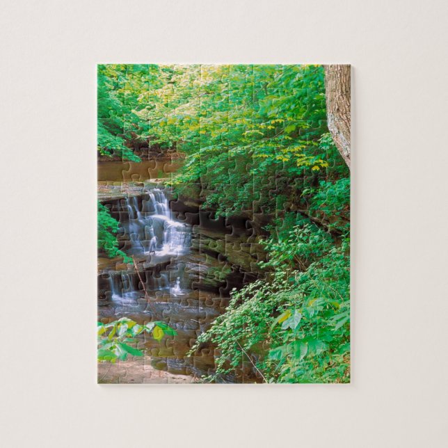Waterfall In Starved Rock State Park Illinois Jigsaw Puzzle (Vertical)
