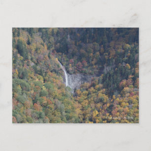 Waterfall in the Blue Ridge Mountains, NC Postcard