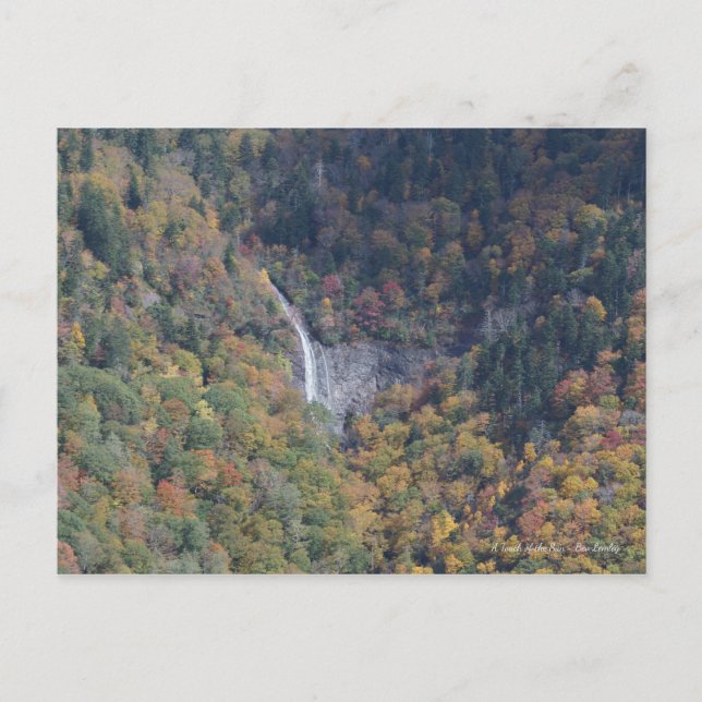 Waterfall in the Blue Ridge Mountains, NC Postcard (Front)