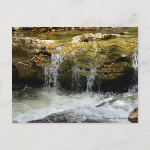 Waterfall in the Blue Ridge Mountains Postcard