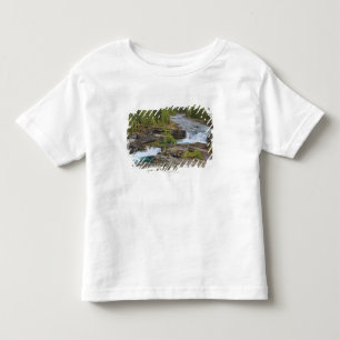 Waterfall In The Canadian Rocky Mountains Toddler T-Shirt