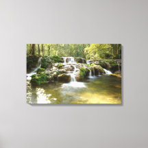 Waterfall in the Forest