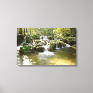 Waterfall in the Forest Canvas Print