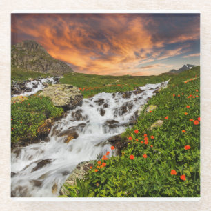 Waterfall in the Mountains with Flowers Glass Coaster