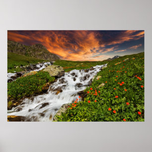 Waterfall in the Mountains with Flowers Poster