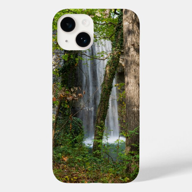 Waterfall In The Woods iPhone Case (Back)