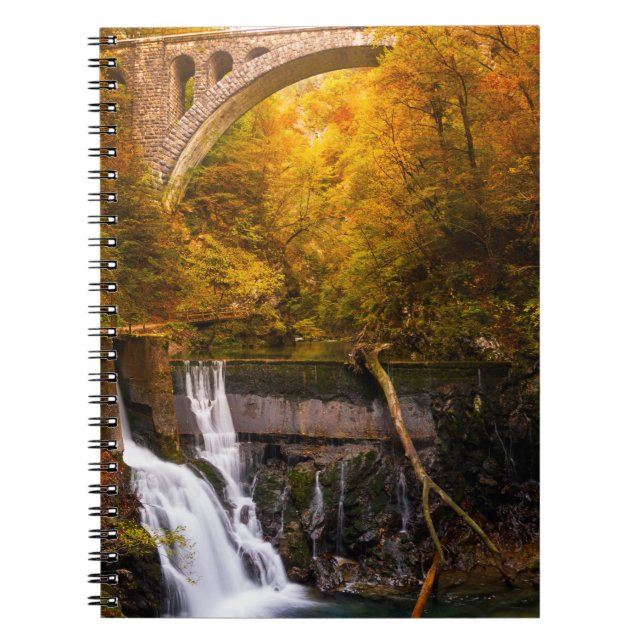 Waterfall in Vintgar Gorge canyon in autumn Notebook (Front)