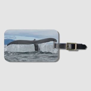 Waterfall Luggage Tag