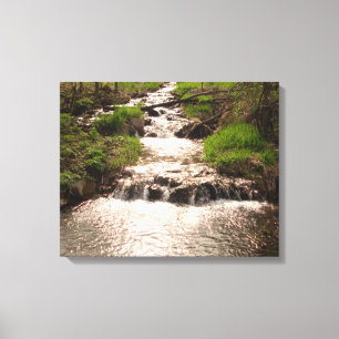 Waterfall Nature Woods Photography Canvas Print MN